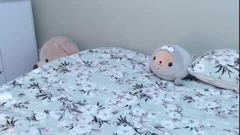  Sammyboom  online show from 11.02.25