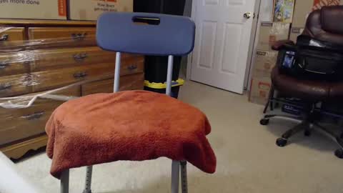 Sammy online show from 11.03.25