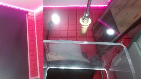 SAMMY online show from 02.16.26