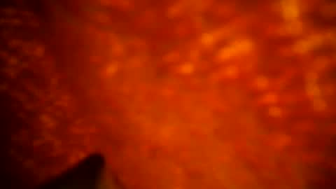 samueltal online show from 09.11.25