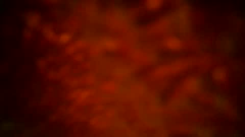 samueltal online show from 09.16.25