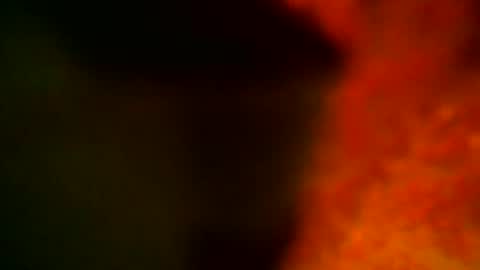 samueltal online show from 10.14.25