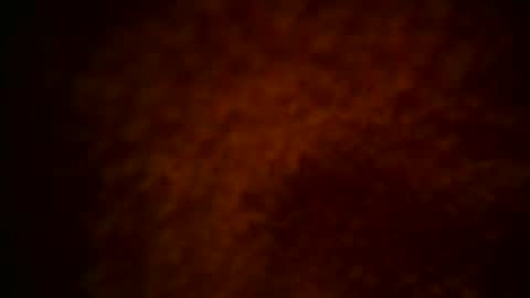 samueltal online show from 12.15.25