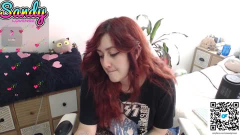 Sandy Prinss online show from 02.19.25