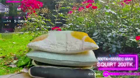 sansa_staark online show from 10.17.25