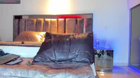 Snapshot of santin_seans chatting on 12.30.24 Santiago Seans online show from 12.30.24