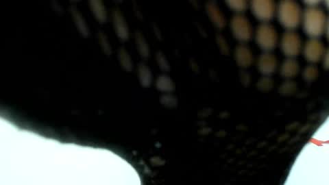 sara online show from 12.05.24