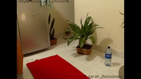 sara_johnson__ online show from 12.27.24