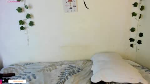 sara sofia online show from 12.18.24