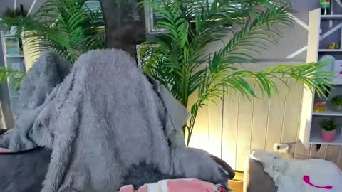 sofia gomez420 online show from 12.31.24