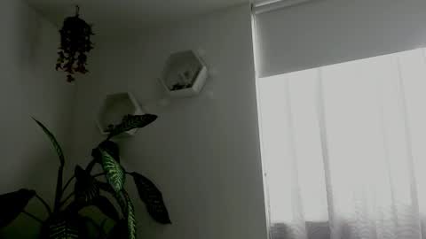 Saray  online show from 02.09.26