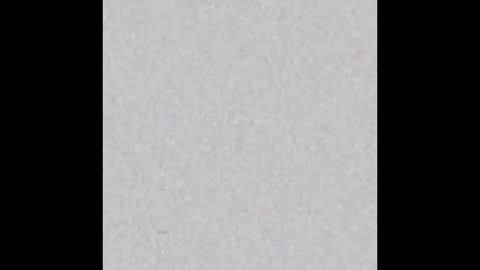 sarita online show from 12.30.24