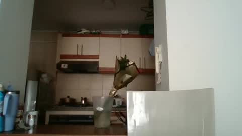 Snapshot of sarita_start chatting on 05.11.26 sarita_start online show from 05.11.26