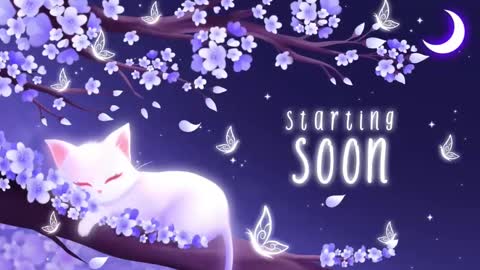 Sassy Sami Kittyn online show from 03.03.25