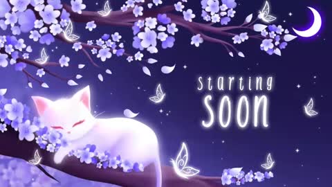 Sassy Sami Kittyn online show from 10.21.25