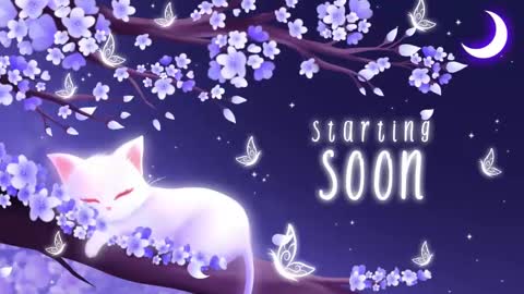 Sassy Sami Kittyn online show from 11.04.25