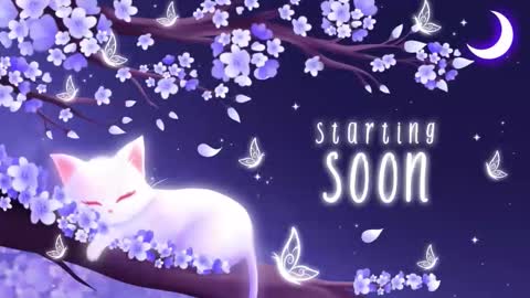 Sassy Sami Kittyn online show from 12.02.25