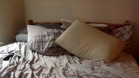 Stripper in Training online show from 02.11.26