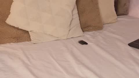 Scarleth  online show from 10.16.25