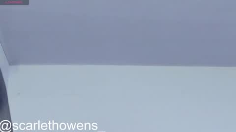    online show from 11.13.25