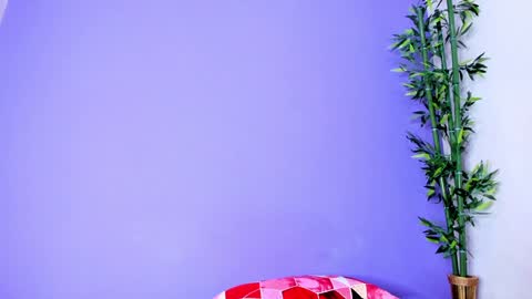 Denis online show from 01.03.25