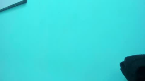 scarlett_fox20 online show from 05.13.26