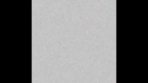 scarlettgracevip online show from 01.15.26