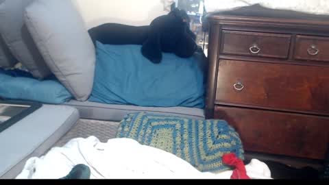 Scarlotta online show from 01.24.25