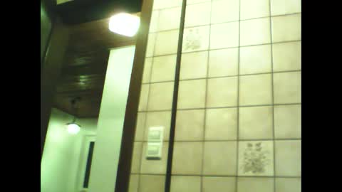 schnibschnab online show from 11.30.25