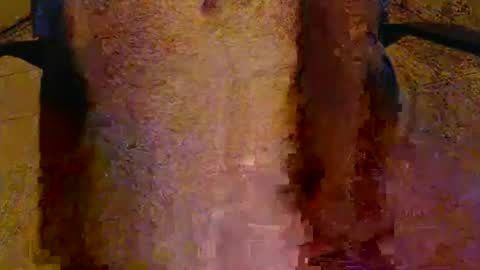scott1usa online show from 05.05.26