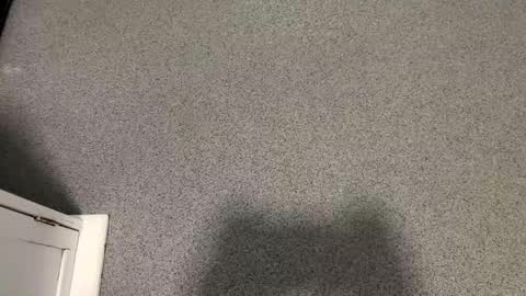 scottyc48 online show from 11.12.25