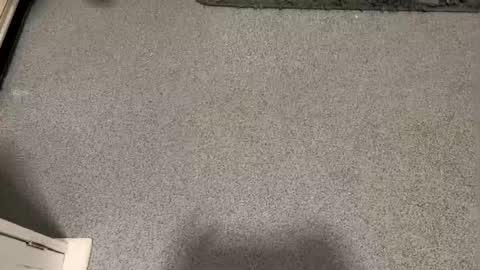 scottyc48 online show from 01.12.26