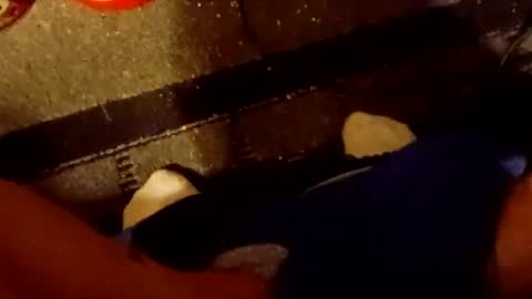 Snapshot of scruples99273286 chatting on 10.05.25 scruples99273286 online show from 10.05.25