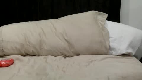 Snapshot of seanfritz1984 chatting on 12.17.25 dick online show from 12.17.25