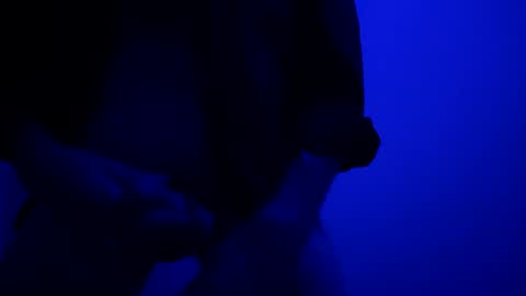 Snapshot of seanlydo chatting on 10.13.25 SeanWadGodDamn online show from 10.13.25