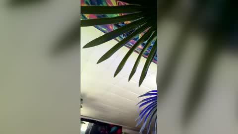 seanplushouse online show from 02.28.26