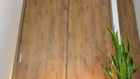 sebastian online show from 02.03.26