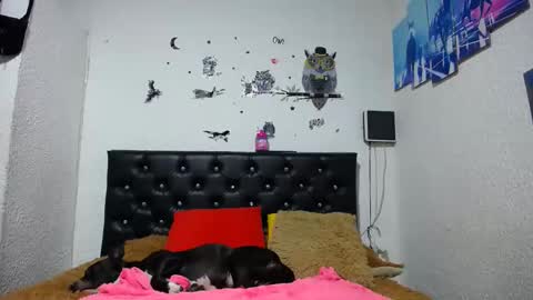 Myystiic online show from 01.21.25