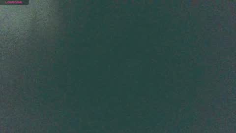 Sunny online show from 12.14.24