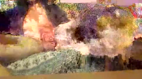 Dirty13 online show from 11.30.25