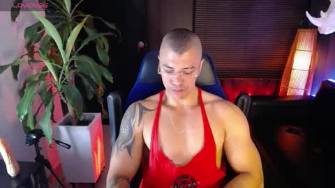 sed online show from 12.14.24