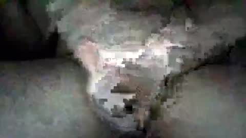 SotaSled online show from 02.20.26