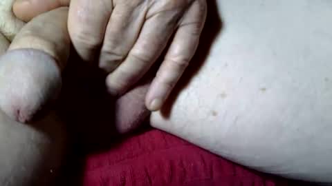 seeus24 online show from 11.17.25