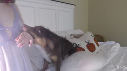 Sel online show from 10.20.25