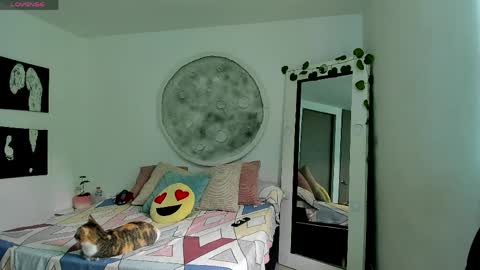 Selyn online show from 04.06.26