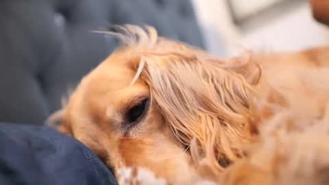 Snapshot of senssual_goddess chatting on 10.07.25 senssual_goddess online show from 10.07.25