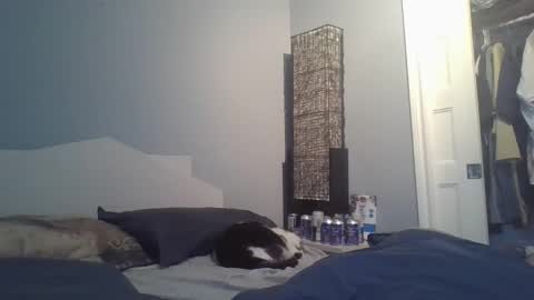 sensualcock4you online show from 12.20.25