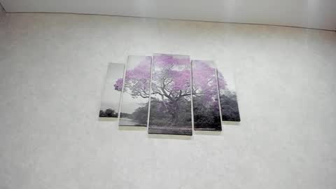 Xenia online show from 01.10.25