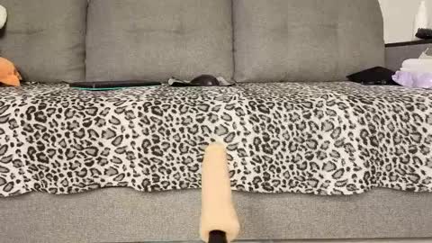 Xenia online show from 03.16.26