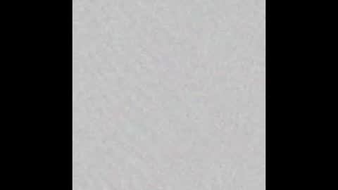 Rosa  online show from 03.13.26